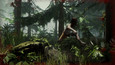 steam-the-forest-1